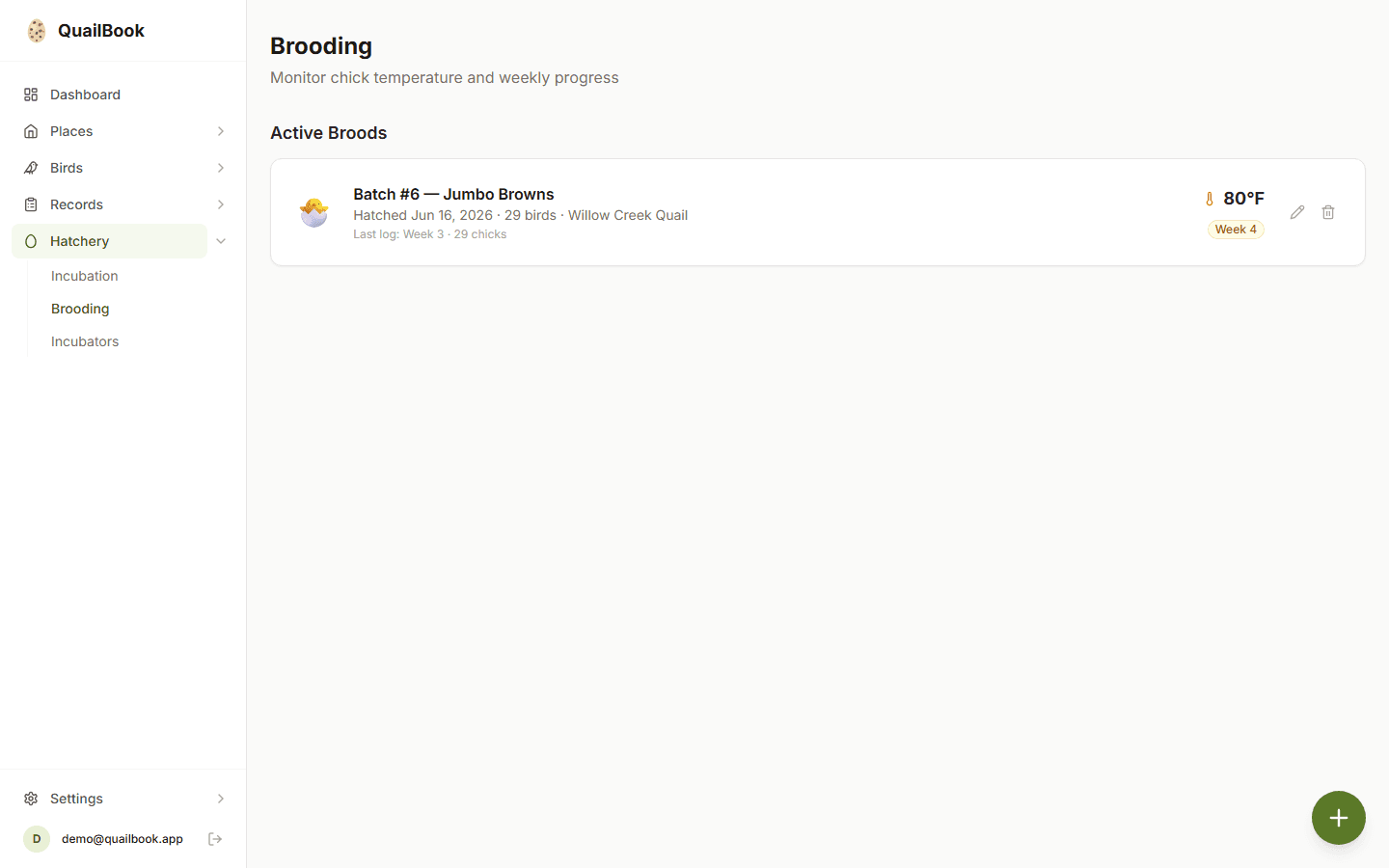 Brooding schedule with current week highlighted
