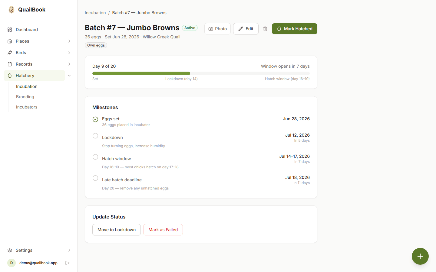 Incubation batch detail with countdown timeline