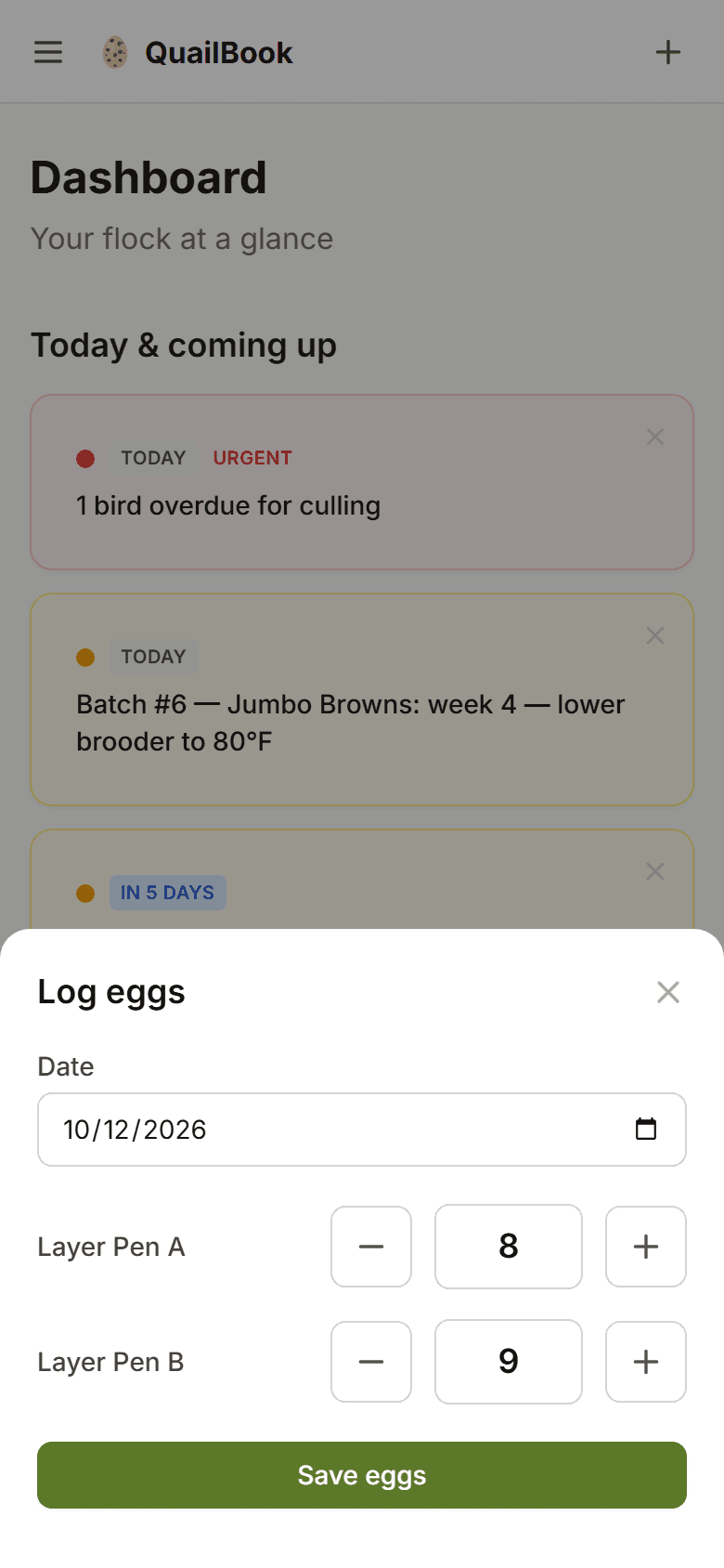 Logging eggs per pen from the quick-log sheet on a phone